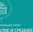 Молодые и социальные предприниматели Татарстана получат гранты до 500 тыс. рублей по нацпроекту - Лаишевский район
