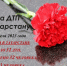 Дорожные войны. ДТП на дорогах Татарстана с 13 по 19 апреля 2023 года - Камская новь