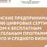 Татарстанские предприниматели получат 100 цифровых сертификатов с доступом к образовательным программам - Лаишевский район