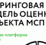 Как рассчитать рейтинг бизнеса (скоринг) через цифровую платформу МСП - Лаишевский район