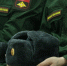 Военные пенсии вырастут с 1 октября - Камская новь