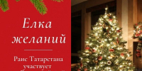 Раис Татарстана участвует во Всероссийской акции «Елка желаний» - Камская новь