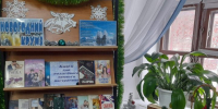 Книжная выставка «Зимние праздники» в Лаишевской библиотеке радует своей красотой - Камская новь