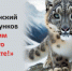 Сегодня стартовал республиканский конкурс экологических рисунков среди художественных школ - Камская новь