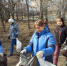 Хорошие работники все на субботнике - Камская новь