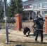 Юные герои чистого города - Камская новь