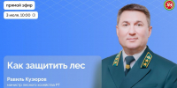 Министр лесного хозяйства Республики Татарстан расскажет о защите лесов в прямом эфире - Камская новь
