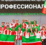 Татарстанцы завоевали 34 медали в финале чемпионата «Профессионалы» - Камская новь