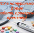 Более 170 тысяч льготников Татарстана получают соцуслуги в натуральной форме - Камская новь
