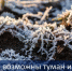 Ожидаются ночные заморозки - Камская новь