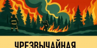 Внимание! Чрезвычайная пожарная опасность в лесах Татарстана - Камская новь