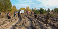 Леса Лаишевского района пополнились тысячами молодых саженцев - Камская новь