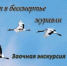 День белых журавлей: грани памяти народной - Камская новь