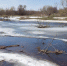 Осторожно: лёд на водоёмах ещё не окреп - Камская новь