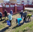 Экологический двухмесячник: цифры и факты - Камская новь