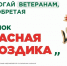 Красная гвоздика: всероссийская акция в поддержку ветеранов - Камская новь